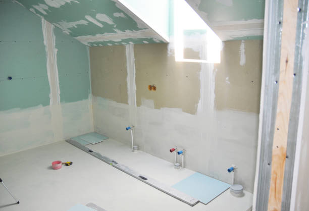 Best Asbestos and Lead Testing During Mold Inspection  in Wade Hampton, SC