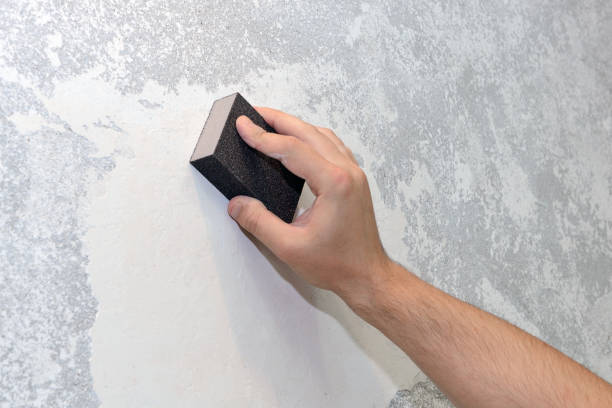 Trusted Wade Hampton, SC Mold Removal Experts