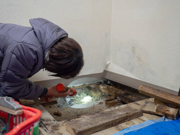 Best Real Estate Mold Inspection  in Wade Hampton, SC
