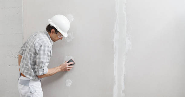 Best Air Quality Testing for Mold Spores  in Wade Hampton, SC