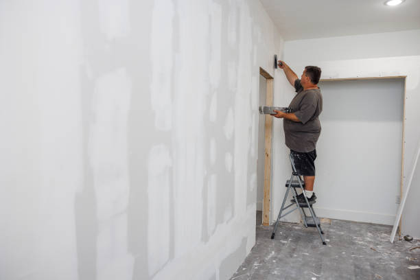 Best Basement Mold Removal  in Wade Hampton, SC