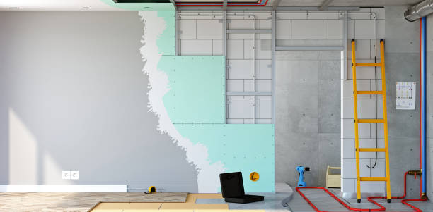Best Mold Odor Removal Services  in Wade Hampton, SC