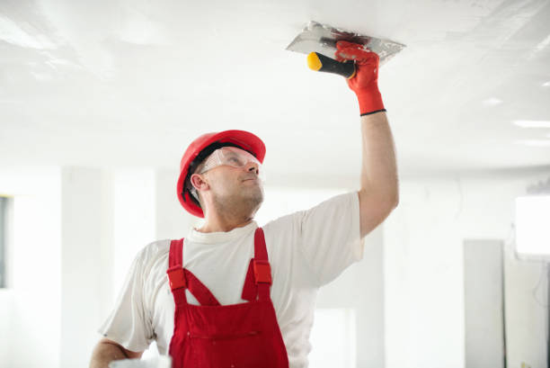 Best Commercial Mold Inspection  in Wade Hampton, SC