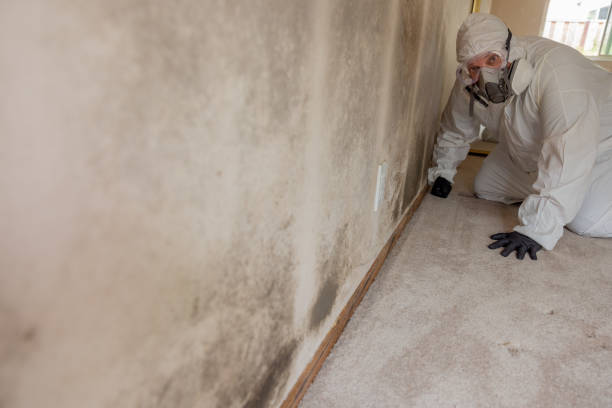 Best Forensic Mold Investigation  in Wade Hampton, SC