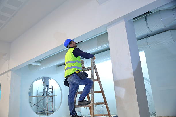 Best Comprehensive Air Testing for Mold Contaminants  in Wade Hampton, SC